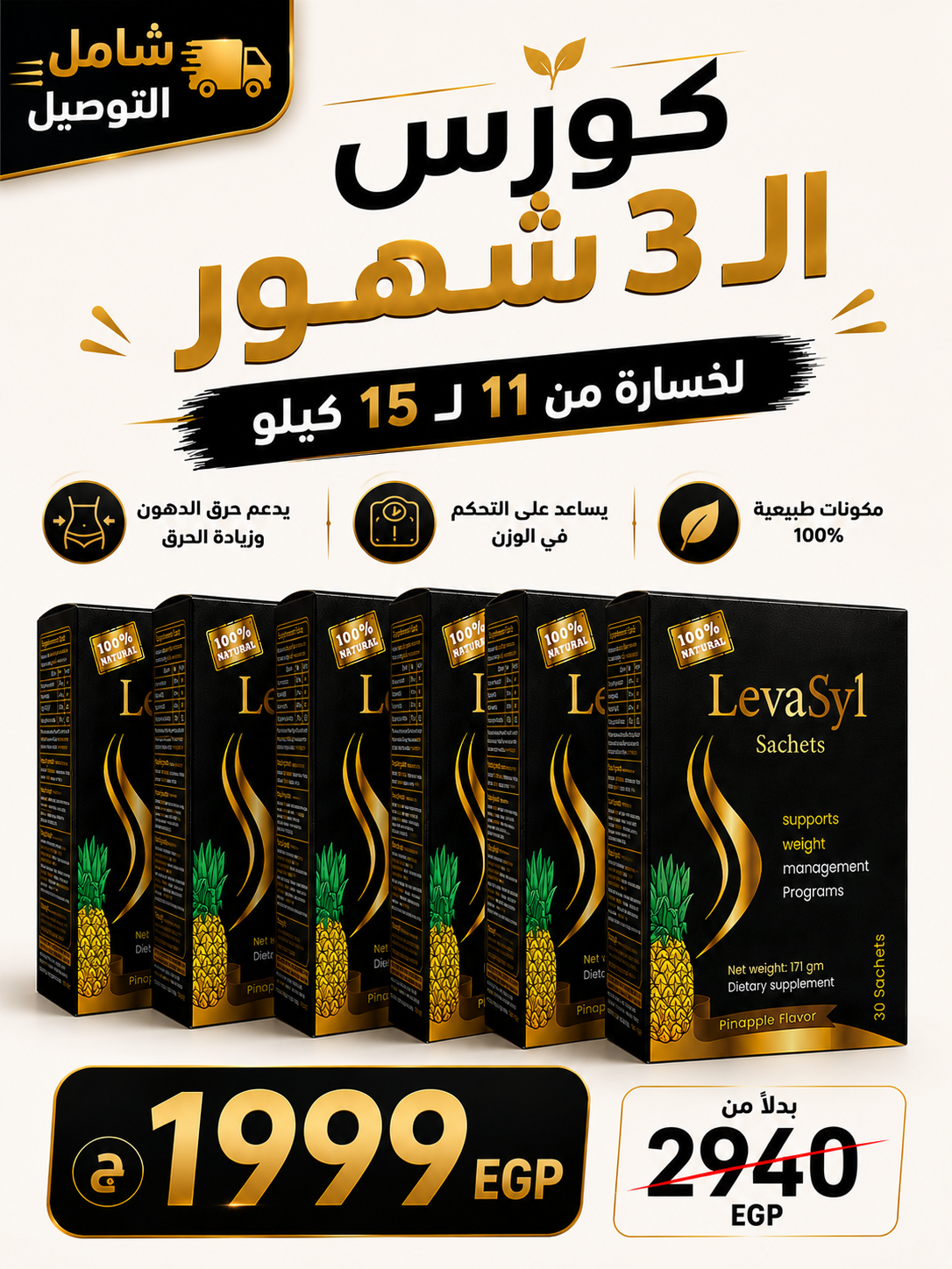 LevaSyl 3-Month Program